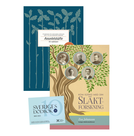 Stora nybrjarpaketet